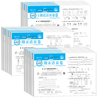 《2024春王朝霞期末活页卷》（1-6年级任选）