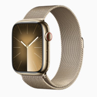 百亿补贴：Apple 苹果 Watch Series9 41毫米蜂窝款不锈钢表壳智能运动手表