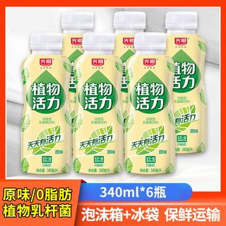 植物活力活菌饮品340ml*6瓶原味0脂肪低温乳酸菌含乳饮料