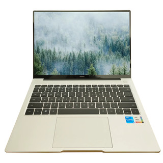 百亿补贴：HUAWEI 华为 MateBook 14 2023款  14英寸轻薄本（i5-1340P、16GB、512GB）