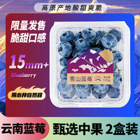 Mr.Seafood 京鲜生 直播限时抢：京鲜生 云南蓝莓 2盒装 约125g/盒 15mm+ 新鲜水果礼盒 源头直发 包邮
