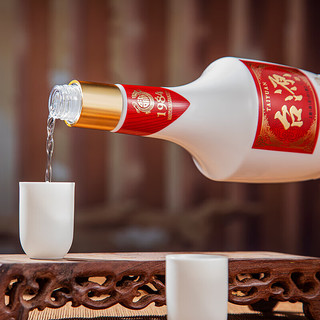 茅台（MOUTAI）贵州茅台集团 台源 53度 酱香型白酒 500ml*2瓶 双瓶装（含礼袋）