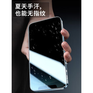 菲天【C】适用苹果防窥钢化膜全系列型号全屏手机膜 iPhone13