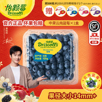 Driscoll's Only the Finest Berries 怡颗莓 当季云南蓝莓 国产蓝莓中果125g*1盒