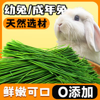 CRAZY PLANT提摩西草兔粮干草幼兔饲料豚鼠龙猫饲料荷兰猪牧草段幼兔兔粮 500g 1盒 提摩西草整草