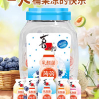 88VIP：XIZHILANG 喜之郎 乳酸菌蒟蒻果冻一大桶1kg共50包