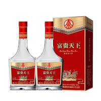 WULIANGYE 五粮液 52度浓香型白酒 500ml*2瓶