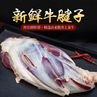 牛作坊原切牛腱子黄牛肉腱子新鲜 5斤