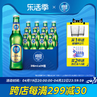 崂山啤酒 青岛崂山啤酒8度金麦箱啤316ML