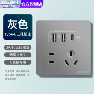 fdd 国际电工 双USB插座面板20W快充墙壁无需充电头Type-c家用五孔插座快充面板 五孔5w双USB+type-c