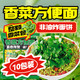 云山半 香菜方便面10包香菜面泡面袋装拌面方便速食品面条代餐夜宵早餐