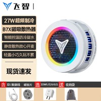 FLYDIGI 飞智 B6X 散热背夹