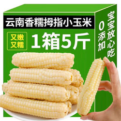 西双版纳 拇指玉米 净重5斤 产地直发