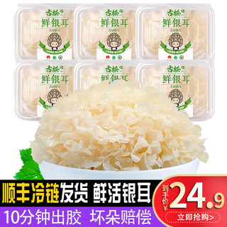 Gusong 古松食品 鲜银耳 6盒 700g