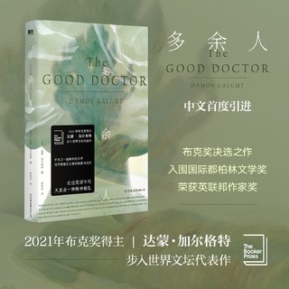 多余人 达蒙·加尔格特 布克奖得主南非作家外国文学小说磨铁正版