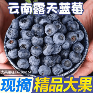 blueberry 蓝莓 迈乐佳 MALEEJIA云南蓝莓大果超甜孕妇当季新鲜水果鲜果应季水果 4盒460g 大果15mm+