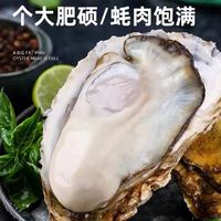 秒杀！产地直发！乳山生蚝 5XL牡蛎 5.5斤装 （带官方溯源防伪标识、死蚝包赔）