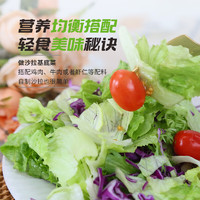 一号农场 源头直发开袋即食意式风情沙拉150g*3混合蔬菜沙拉包轻食健身代餐