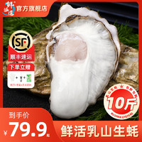 others 其他 鲜海道鲜活乳山生蚝带箱10斤牡蛎海蛎子特大海鲜水产新鲜