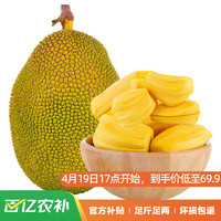 冠町 海南黄肉菠萝蜜一整个25-30斤 新鲜水果生鲜当季特产 源头直发