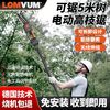 百亿补贴：LOMVUM 龙韵锂电高枝锯电动高枝剪加长杆伸缩充电式修剪树枝园林高空锯