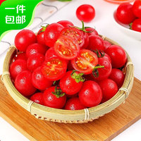 京百味 西红柿冰糖千禧小番茄3斤 精选120颗中果 新鲜蔬菜源头直发