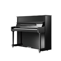 PEARL RIVER PIANO 珠江钢琴 里特米勒成人教学家用专业立式钢琴RS120黑色