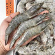 厄瓜多尔白虾盐冻 大虾（4斤/盒）40-50规格