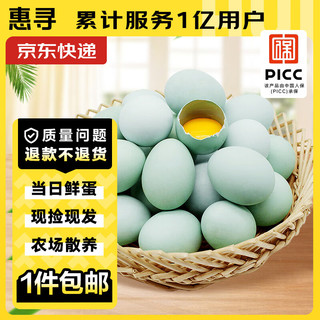 惠寻 京东自有品牌 天然散养初生鲜鸭蛋10枚550g 健康营养现捡现发