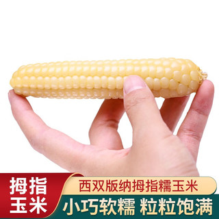 花谷子 西双版纳拇指小玉米 新鲜甜糯粘手指玉米生鲜蔬菜 健康轻食 1斤装 约8-10根