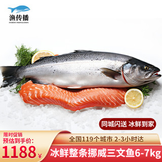渔传播 同城速配  挪威三文鱼整条大西洋鲑6-7kg/条刺身
