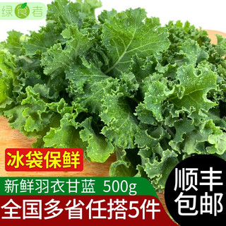 绿食者 羽衣甘蓝500g 绿叶甘兰嫩叶芥蓝菜kale沙拉西餐食材新鲜蔬菜