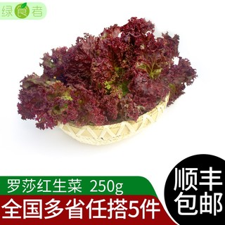 绿食者 新鲜红叶生菜 罗莎红 紫叶红叶生菜 健康轻食沙拉蔬菜 西餐食材 250g