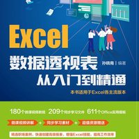 Excel数据透视表从入门到精通 图书