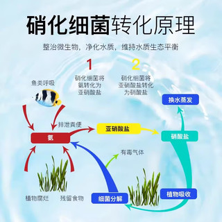 鱼麒麟水草液肥营养液鱼缸养护草缸水草肥料基肥造景除藻去苔 【小缸套餐】菌+净水+水稳+除藻