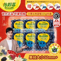 Driscoll's Only the Finest Berries 怡颗莓 当季云南蓝莓 新鲜水果 蓝莓小果125g*6盒