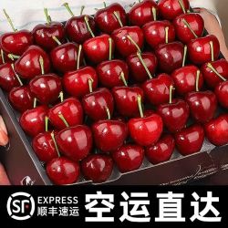 【省90元】樱鲜车厘子/樱桃_樱鲜 秒杀500箱!