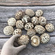 花菇哥 冬菇500g-直径4~6cm香菇