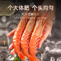 【喵满分精选】阿根廷红虾L1大红虾特大新鲜冷冻海鲜大虾4斤