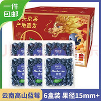 蓝莓 125g*6盒 特大果径15-18mm