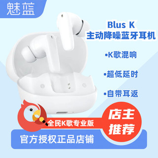 百亿补贴：MEIZU 魅族 魅蓝 BLUSK 主动降噪耳机蓝牙入耳式适配魅族20全民K歌专业版通用