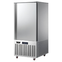 特睿思（TERUISI）速冻柜商用急冻冰柜冰箱大容量速冻机冷冻柜-45℃零下45度设备食品急速商超低温KBQ15P