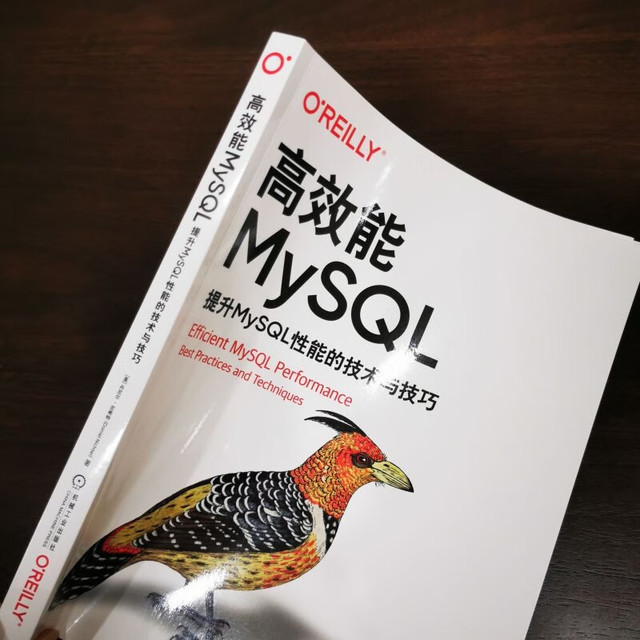 如何有效利用MySQL书来提高工作效率？  第1张