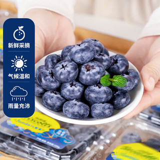 翰鸥斐 新鲜蓝莓 酸甜口感新鲜水果 孕妇宝可食用 精选 蓝莓 6盒装单果