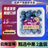 Mr.Seafood 京鲜生 云南蓝莓 2盒装 约125g/盒 15mm+ 新鲜水果礼盒 源头直发 包邮