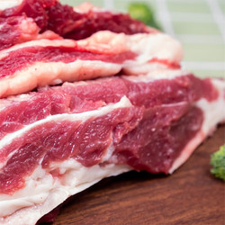 绿鲜印象 精选牛腩肉 1斤