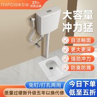 RIIFO 日丰卫浴 日丰蹲便器水箱套装卫生间家用冲水防臭陶瓷蹲便器蹲坑式厕所水箱