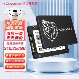 SSD固态硬盘 SATA3.0 SSD固态硬盘240GB 256GB 240GB标配版