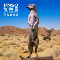 PNSO 猫鼬朵朵动物园成长陪伴模型12