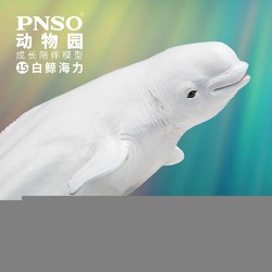 PNSO 海豹暹罗猫猫鼬熊猫考拉白鲸动物园成长陪伴模型